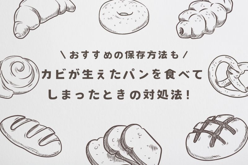 カビが生えたパンを食べてしまったときの対処法！おすすめの保存方法も